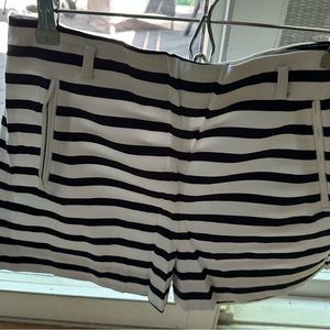 Zara Basic Collection Shorts